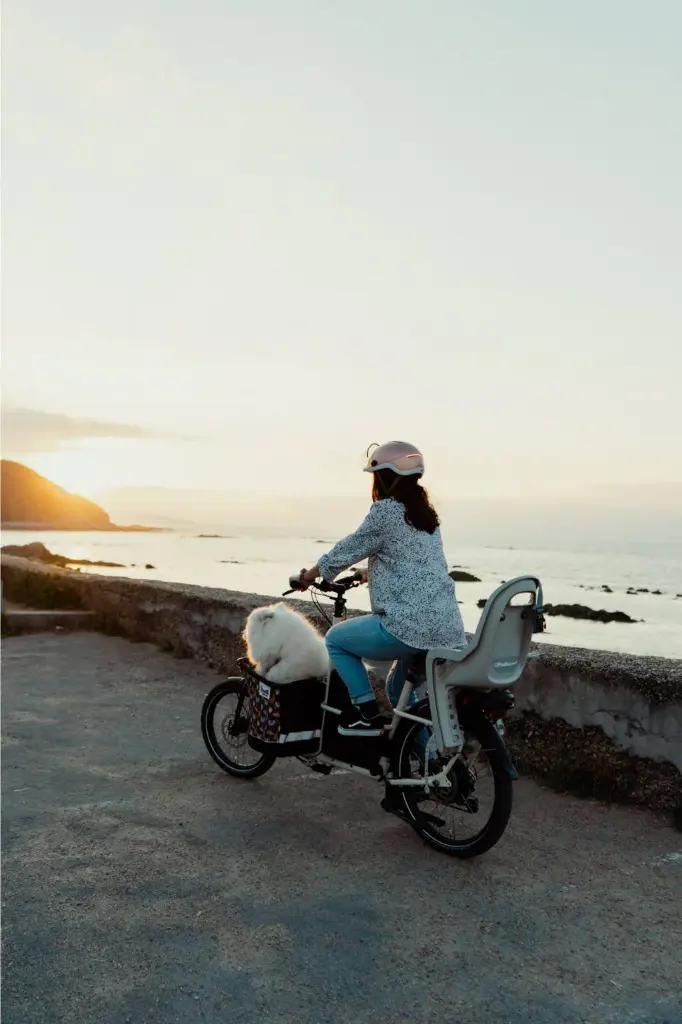 Accessoire - Shwette Baggy - Coussin chien