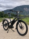 Vélo Kombi Virvolt custom