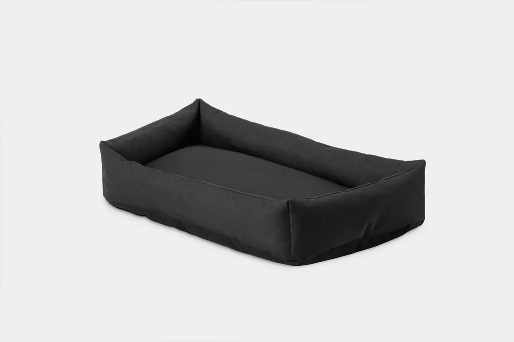 Accessoire - Shwette Baggy - Coussin chien