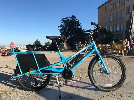 VAE - Yuba Kombi Longtail - Virvolt